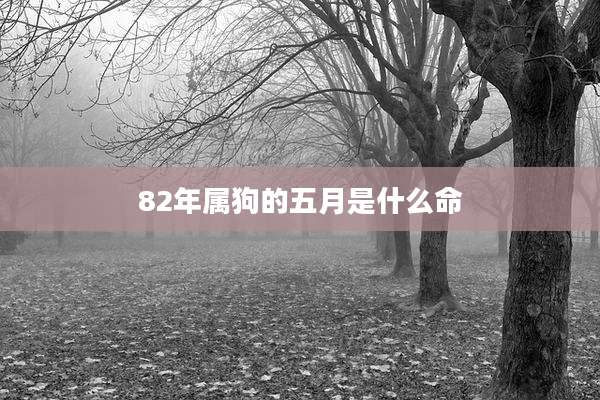 82年属狗的五月是什么命