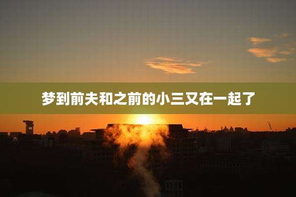 梦到前夫和之前的小三又在一起了