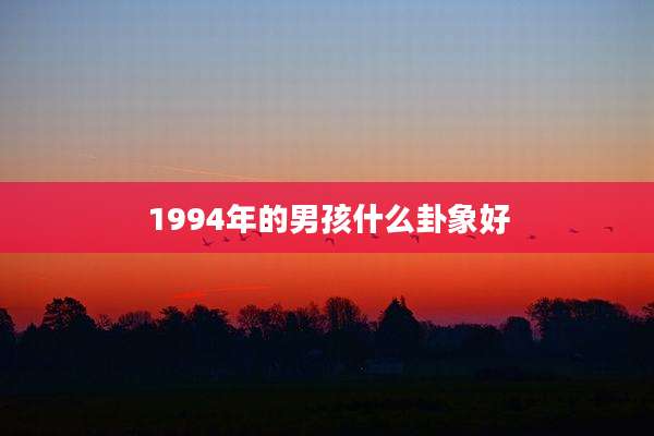 1994年的男孩什么卦象好