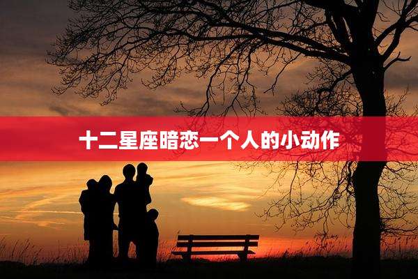 十二星座暗恋一个人的小动作