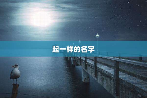 起一样的名字