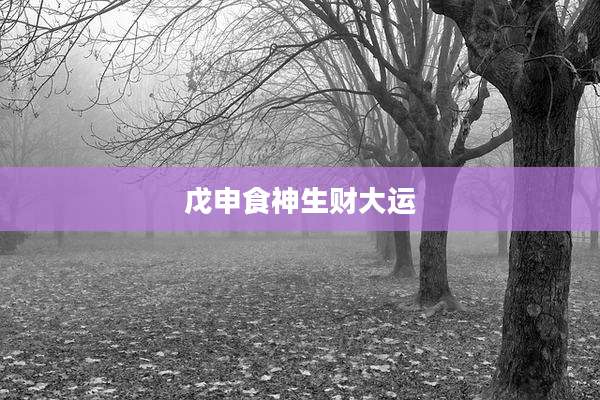 戊申食神生财大运