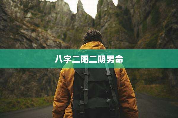 八字二阳二阴男命