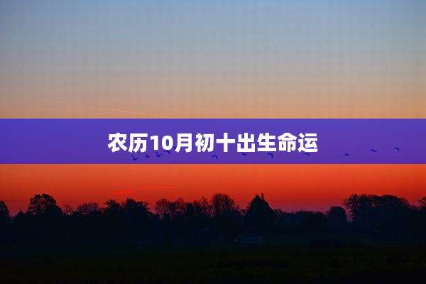 农历10月初十出生命运