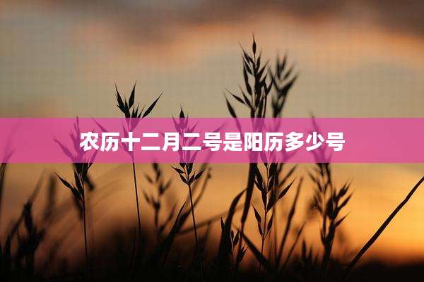 农历十二月二号是阳历多少号