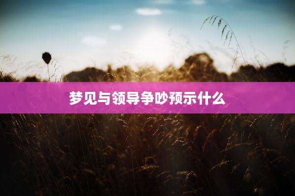 梦见与领导争吵预示什么