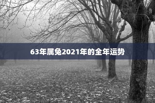 63年属兔2021年的全年运势
