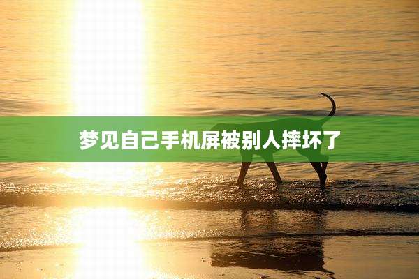 梦见自己手机屏被别人摔坏了