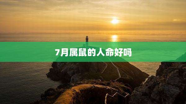 7月属鼠的人命好吗