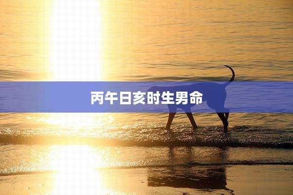 丙午日亥时生男命