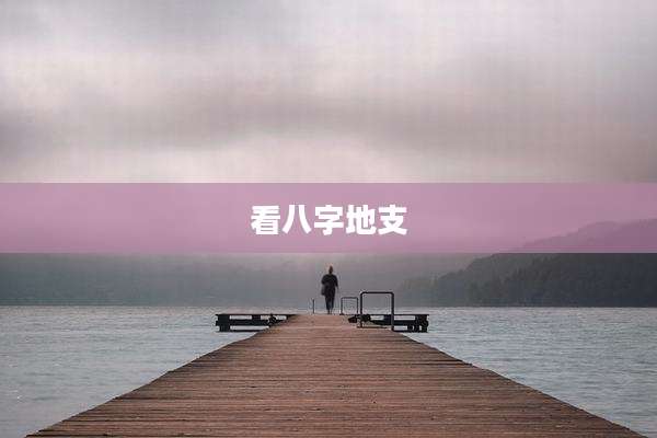 看八字地支