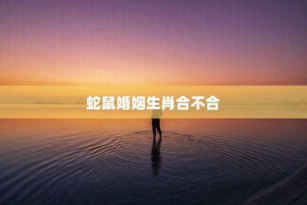 蛇鼠婚姻生肖合不合