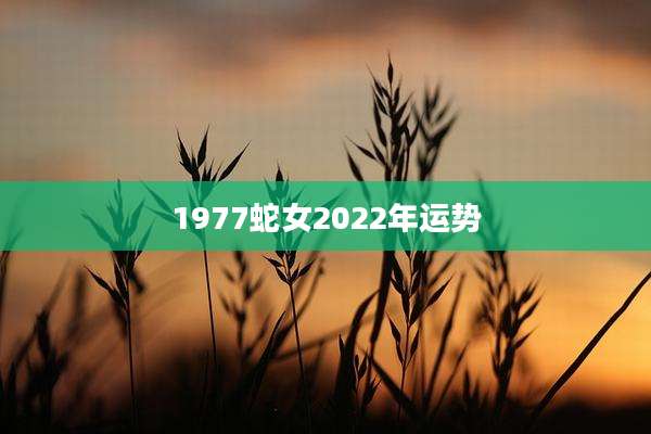 1977蛇女2022年运势