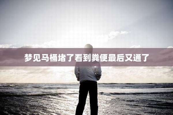 梦见马桶堵了看到粪便最后又通了