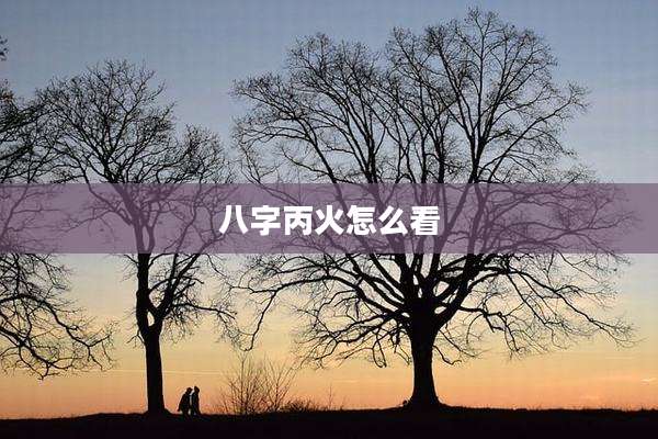 八字丙火怎么看