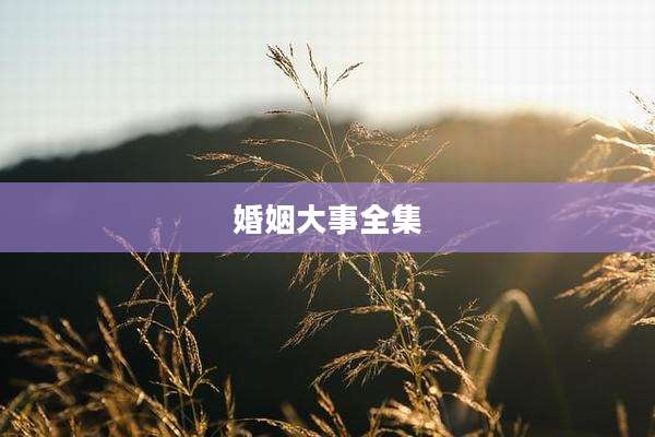 婚姻大事全集