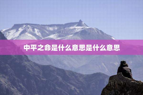 中平之命是什么意思是什么意思
