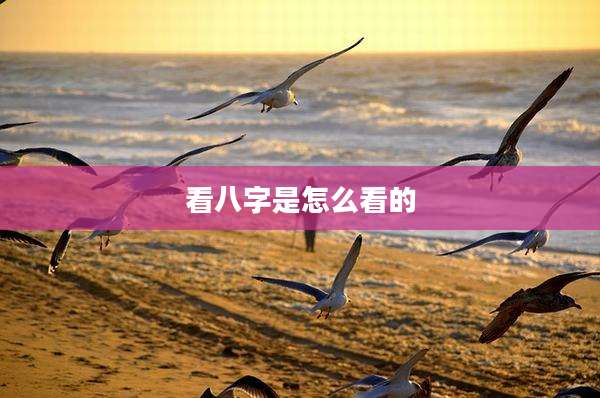 看八字是怎么看的