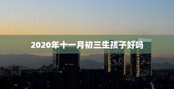 2020年十一月初三生孩子好吗