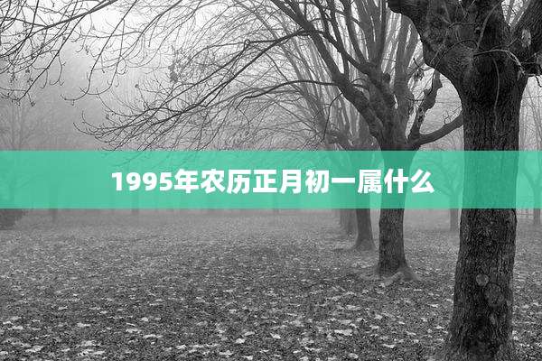 1995年农历正月初一属什么