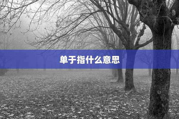 单于指什么意思