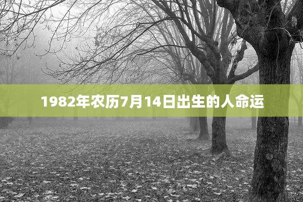 1982年农历7月14日出生的人命运