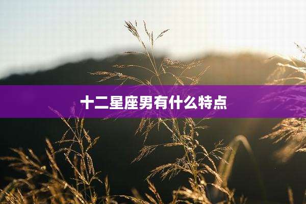 十二星座男有什么特点