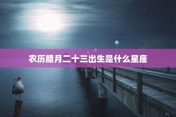 农历腊月二十三出生是什么星座