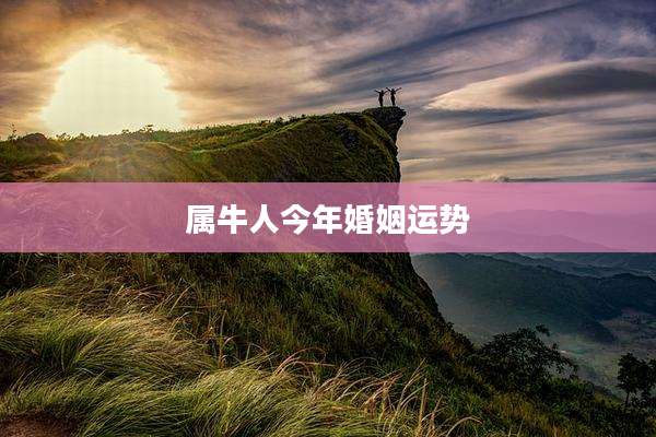 属牛人今年婚姻运势