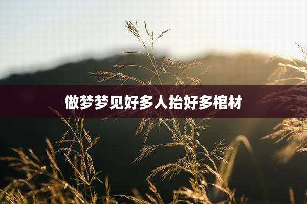 做梦梦见好多人抬好多棺材