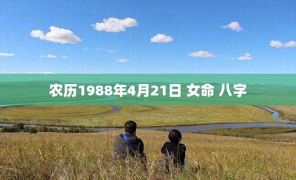 农历1988年4月21日 女命 八字