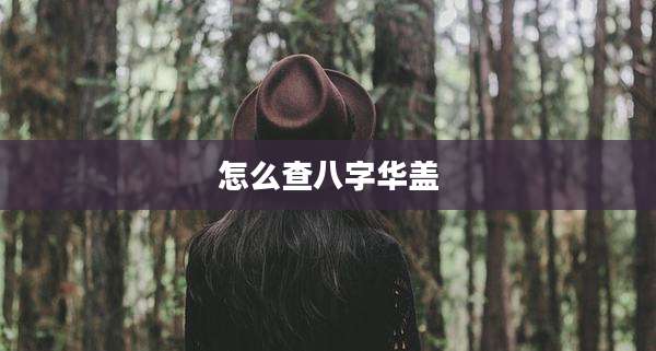 怎么查八字华盖