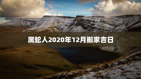 属蛇人2020年12月搬家吉日