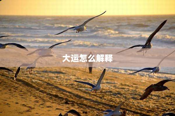 大运怎么解释