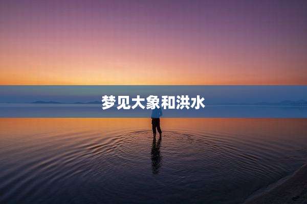 梦见大象和洪水