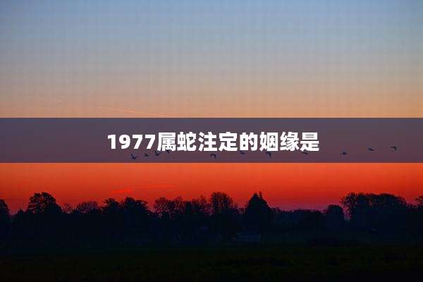 1977属蛇注定的姻缘是