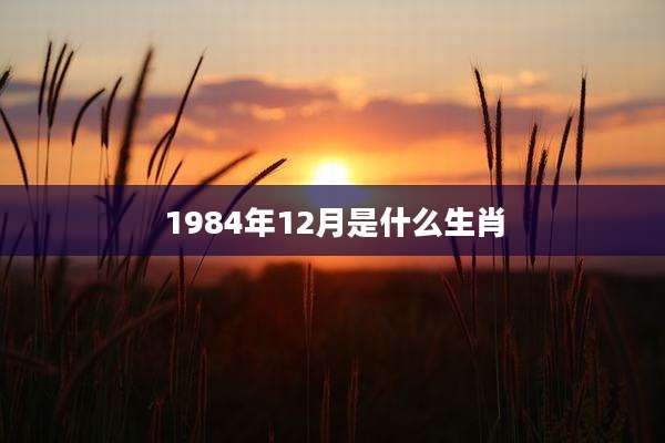 1984年12月是什么生肖