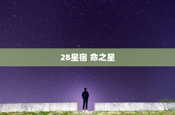 28星宿 命之星