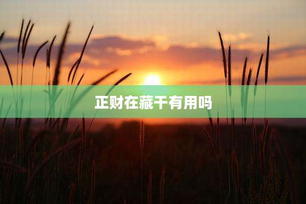正财在藏干有用吗
