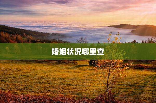 婚姻状况哪里查