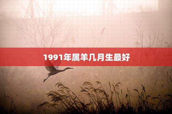 1991年属羊几月生最好