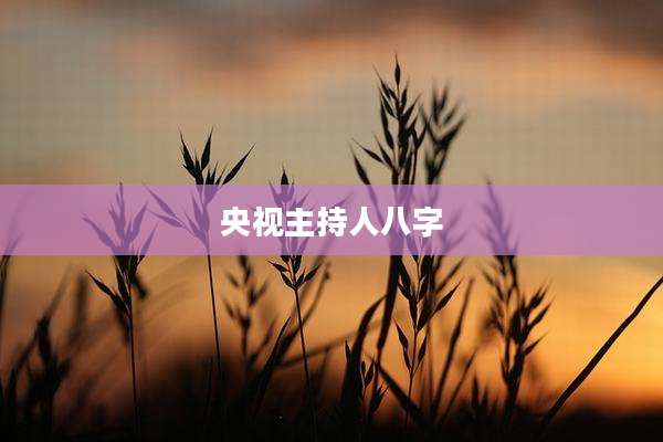 央视主持人八字