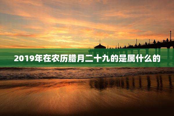 2019年在农历腊月二十九的是属什么的