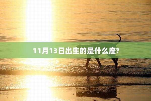 11月13日出生的是什么座?