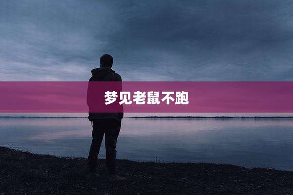 梦见老鼠不跑