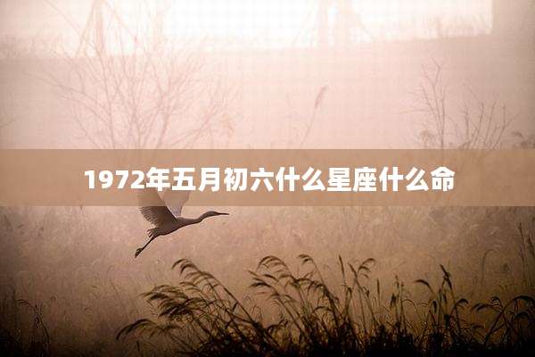 1972年五月初六什么星座什么命