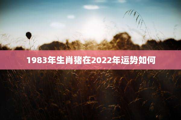 1983年生肖猪在2022年运势如何