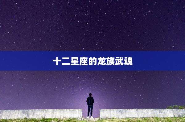 十二星座的龙族武魂