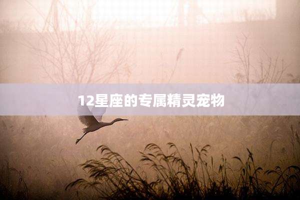 12星座的专属精灵宠物
