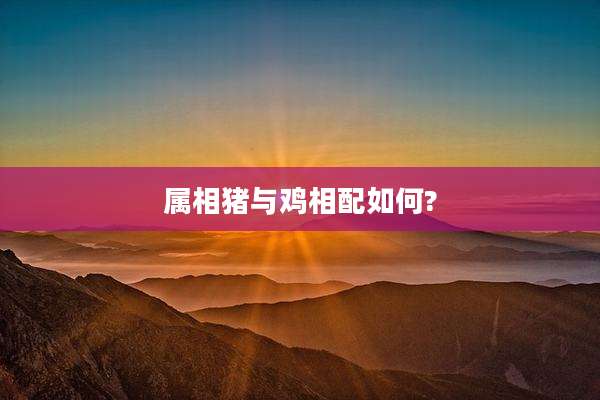 属相猪与鸡相配如何?